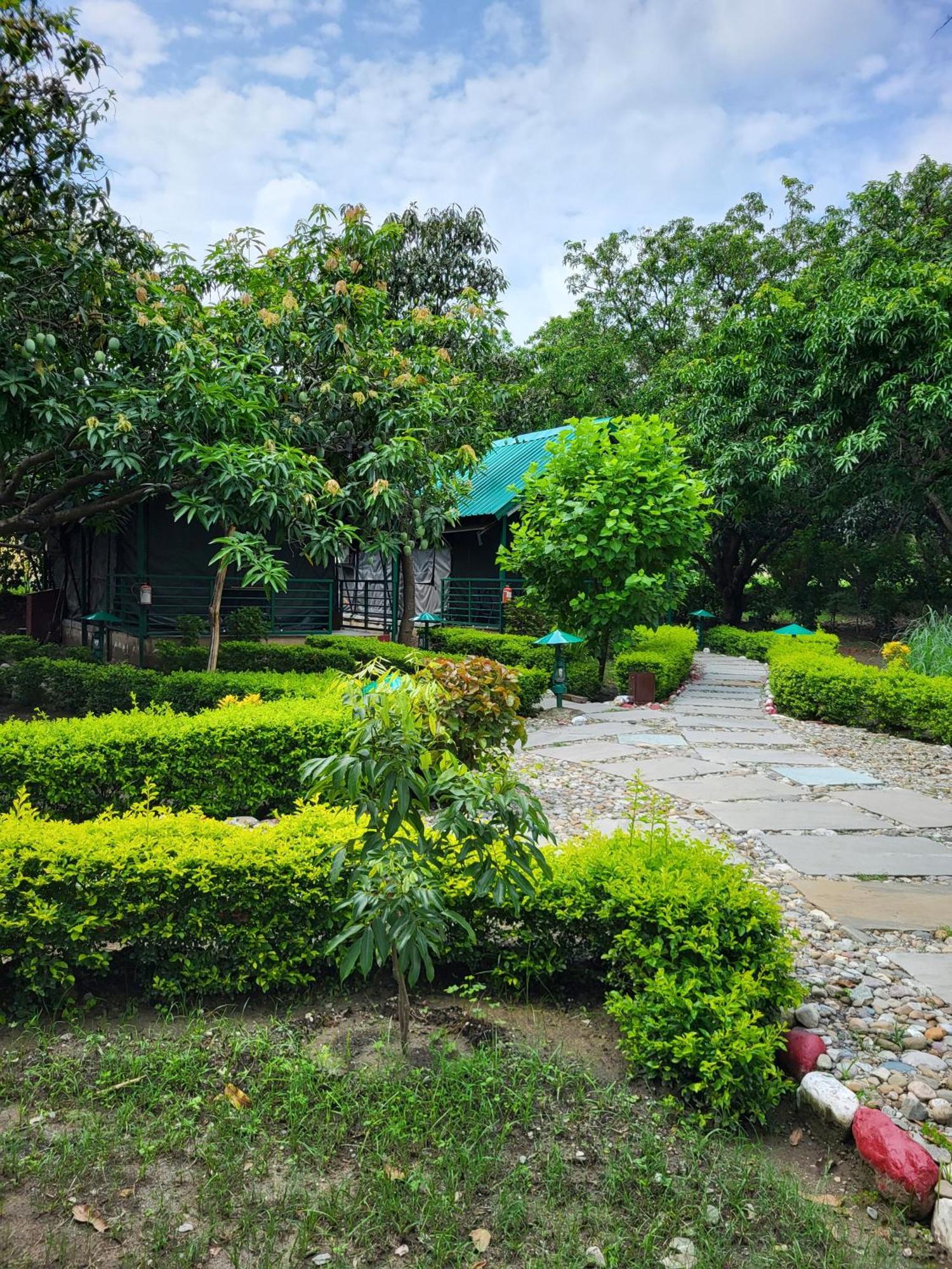 Corbett Nature Retreat Рамнаґар Екстер'єр фото